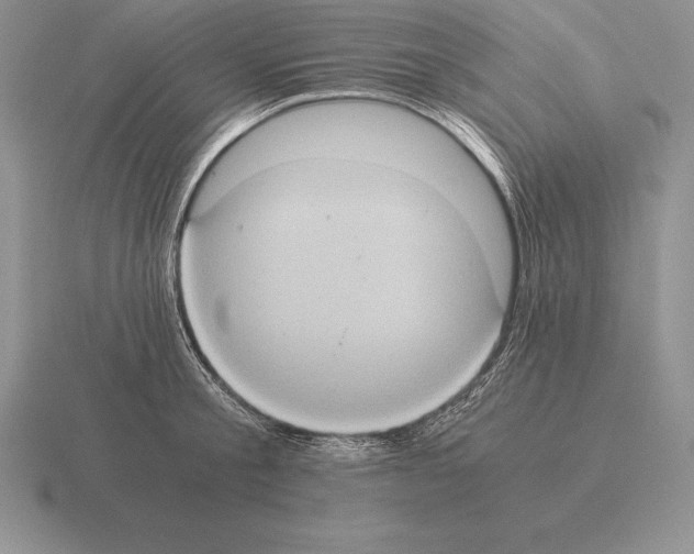 X0000115410805200912151540