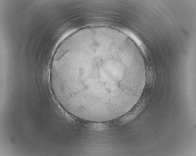 X0000115410807200912151540