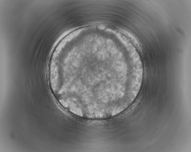 X0000115410808200912151540