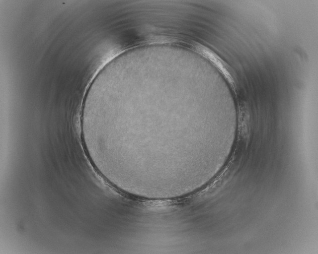 X0000115410810200912151540