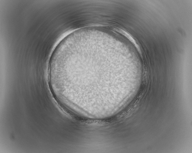 X0000115410811200912151540