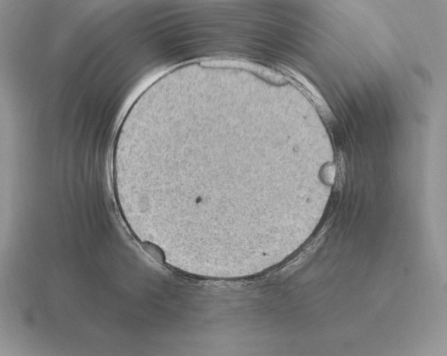 X0000115410812200912151540