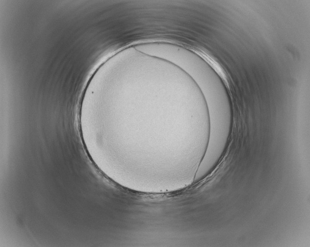 X0000115410813200912151540