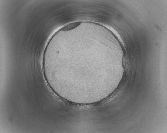 X0000115410815200912151540