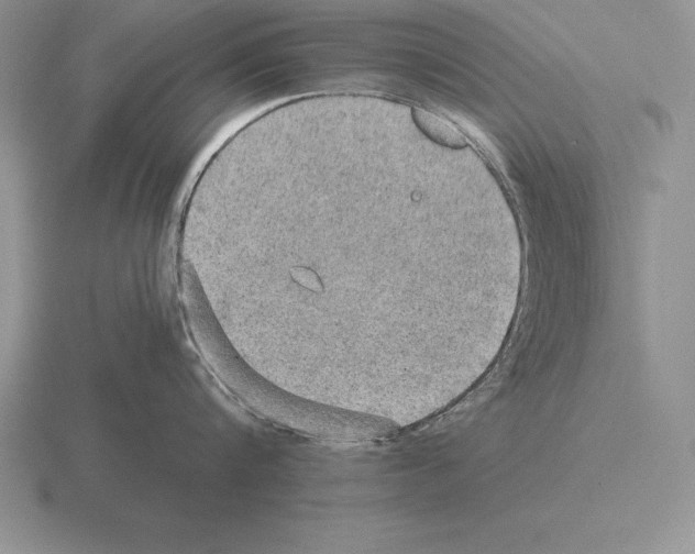 X0000115410816200912151540