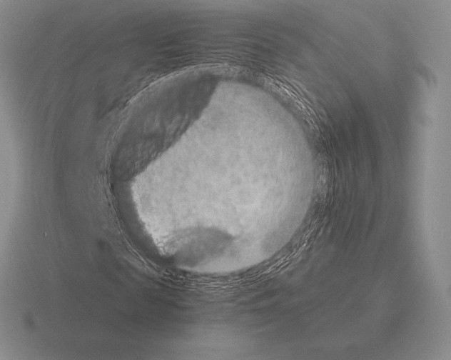 X0000115410817200912151539