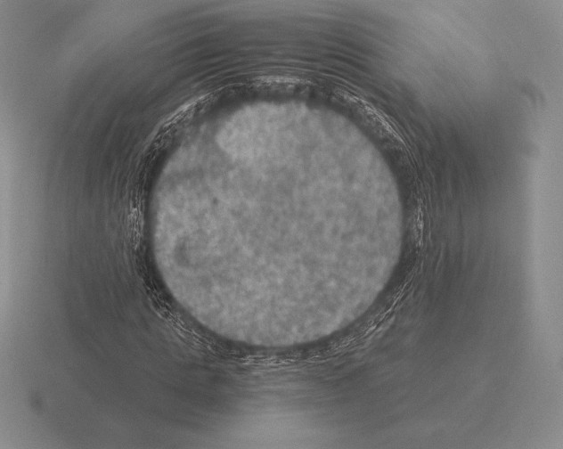 X0000115410821200912151539