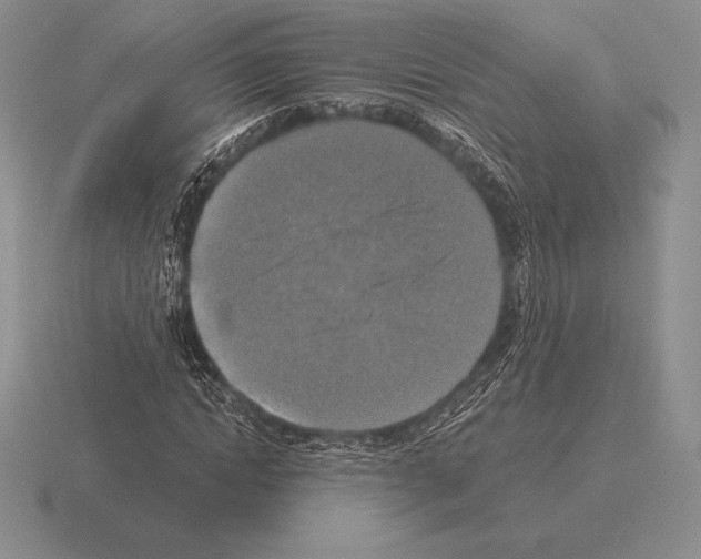 X0000115410822200912151539