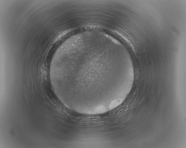 X0000115410823200912151539