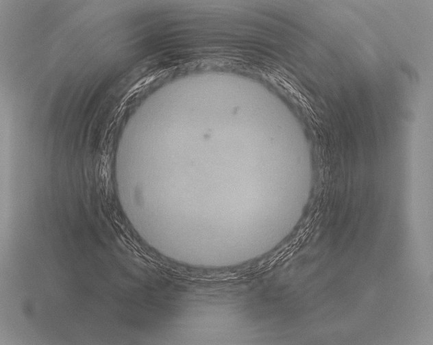 X0000115410824200912151539