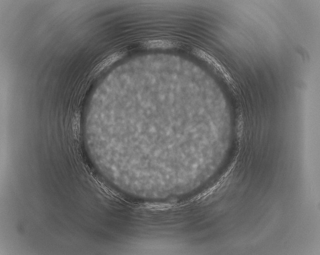 X0000115410825200912151539