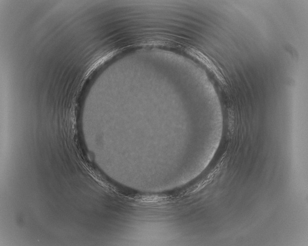 X0000115410826200912151539