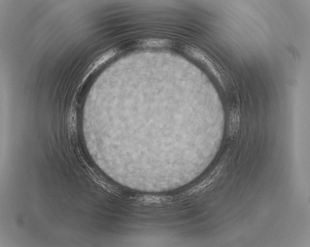 X0000115410827200912151539