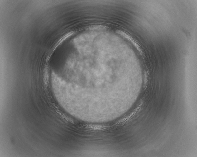 X0000115410829200912151539