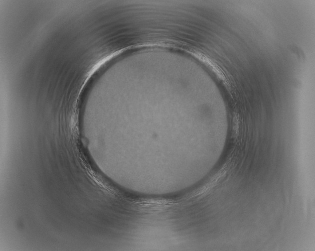 X0000115410830200912151539