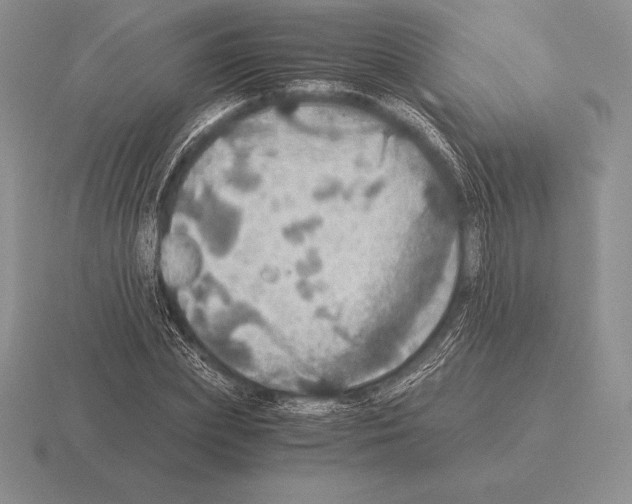 X0000115410831200912151539