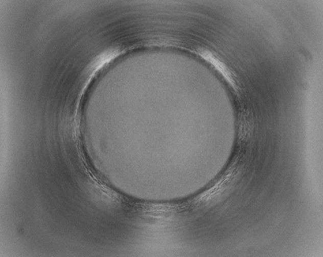 X0000115410832200912151539