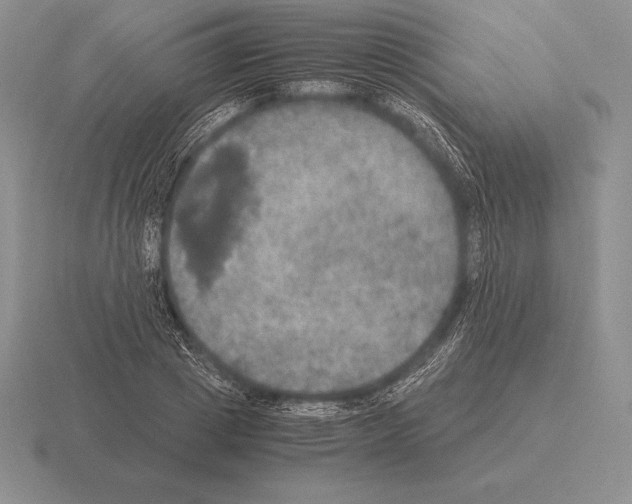 X0000115410833200912151539