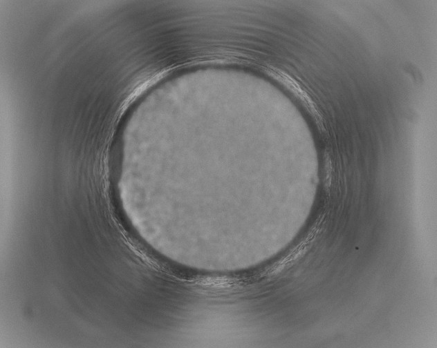 X0000115410834200912151539