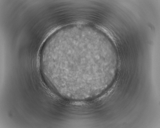 X0000115410835200912151540