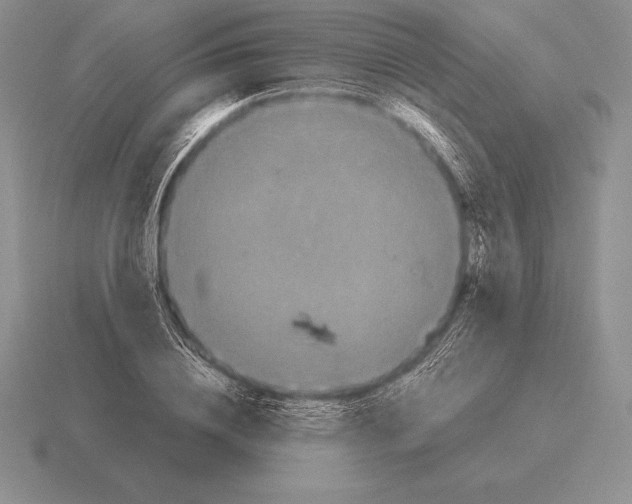 X0000115410836200912151540