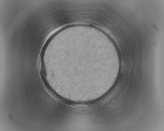 X0000115410838200912151540