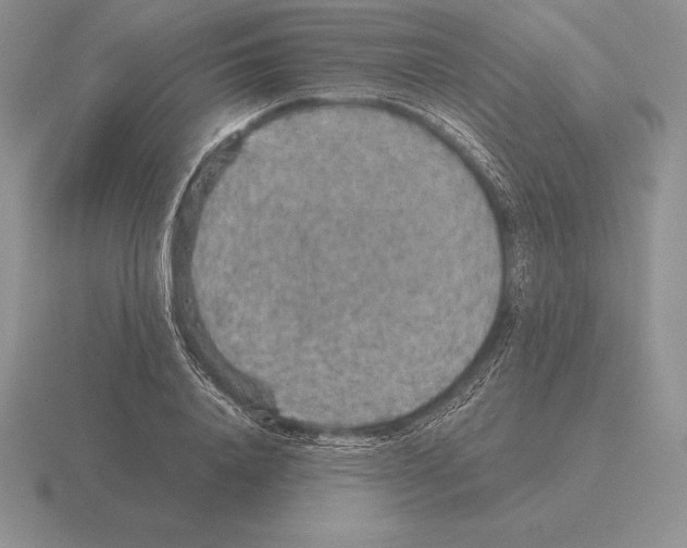 X0000115410840200912151540