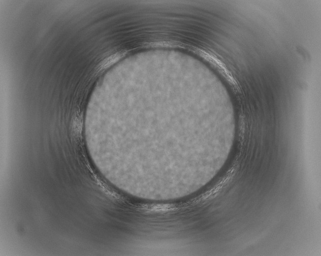 X0000115410841200912151540