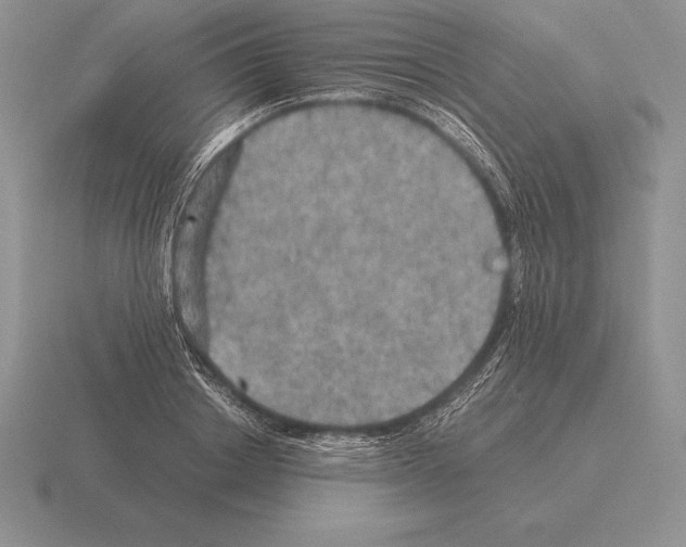 X0000115410842200912151540