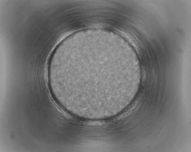 X0000115410843200912151540