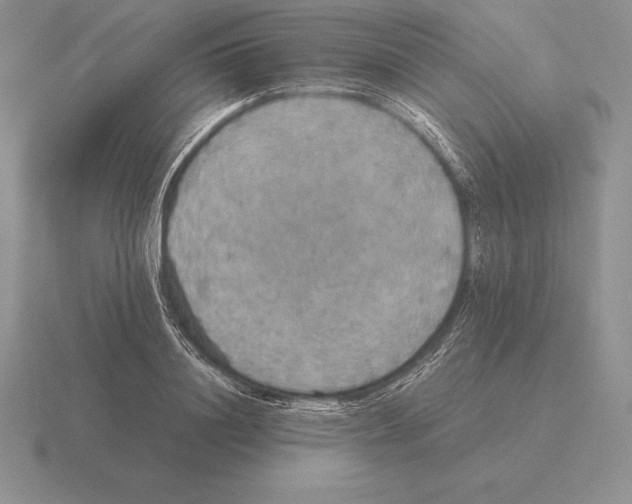 X0000115410844200912151540