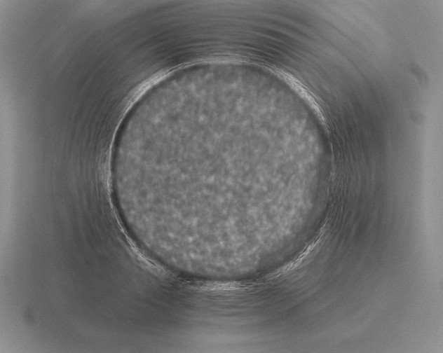 X0000115410845200912151540