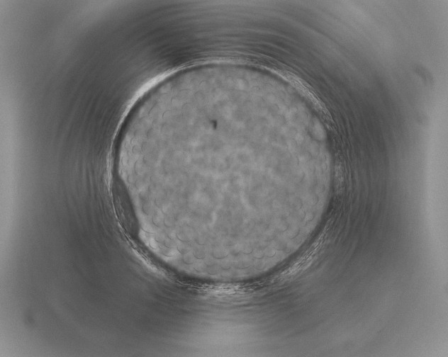 X0000115410846200912151540