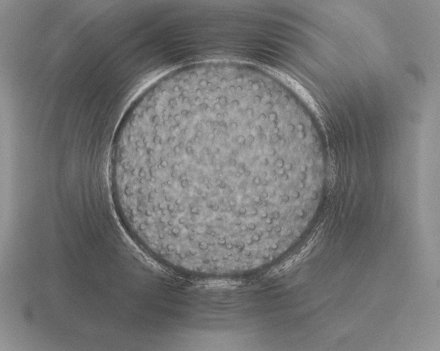 X0000115410847200912151540