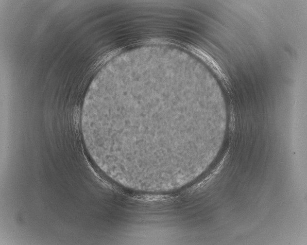 X0000115410849200912151540