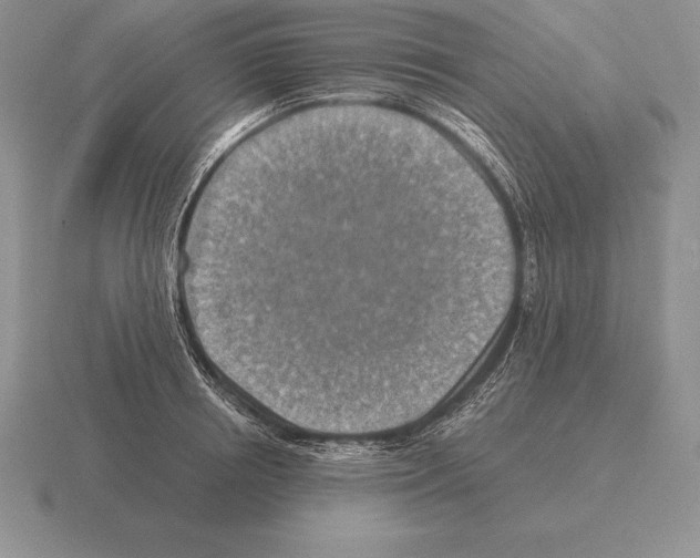 X0000115410850200912151540