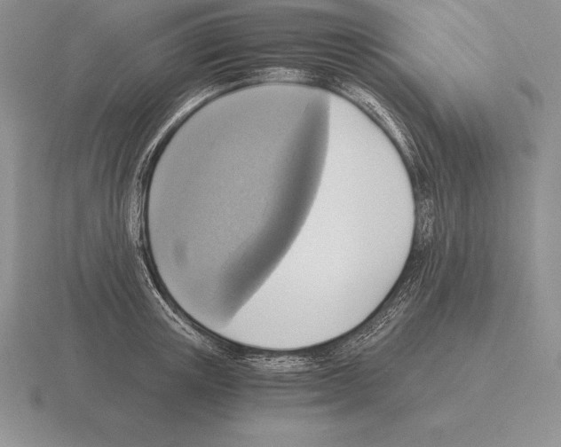 X0000115410851200912151540