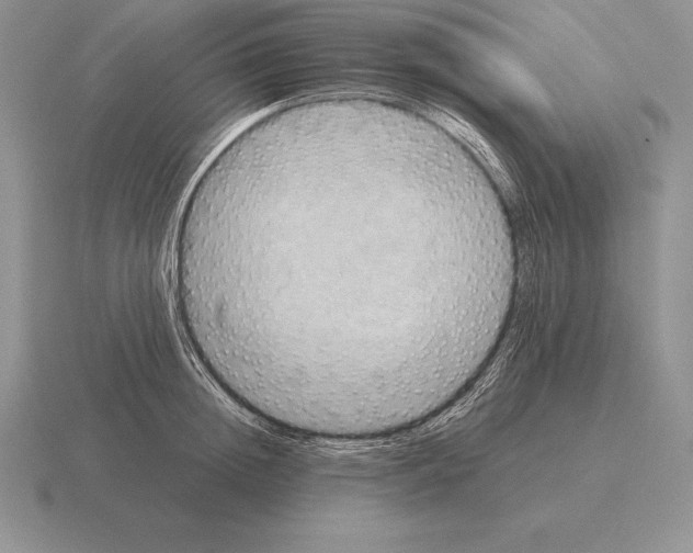 X0000115410852200912151540