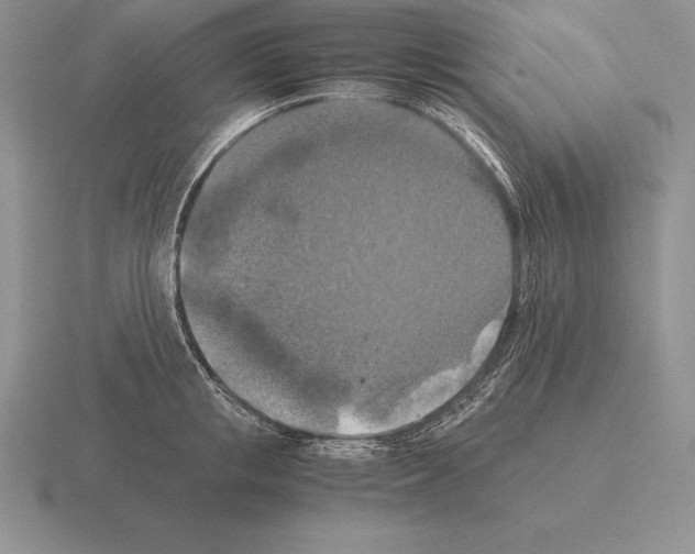 X0000115410853200912151540