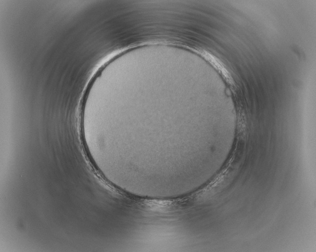 X0000115410854200912151540