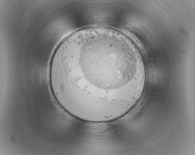 X0000115410856200912151540