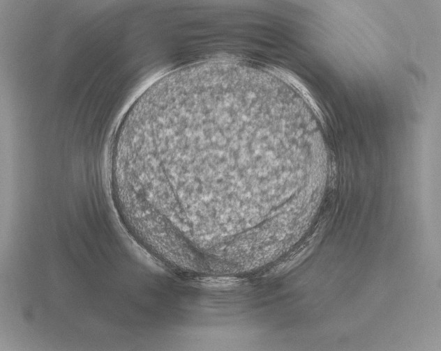 X0000115410859200912151540