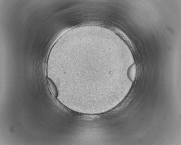 X0000115410860200912151540