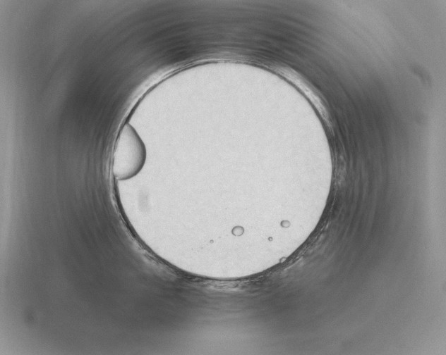 X0000115410861200912151540