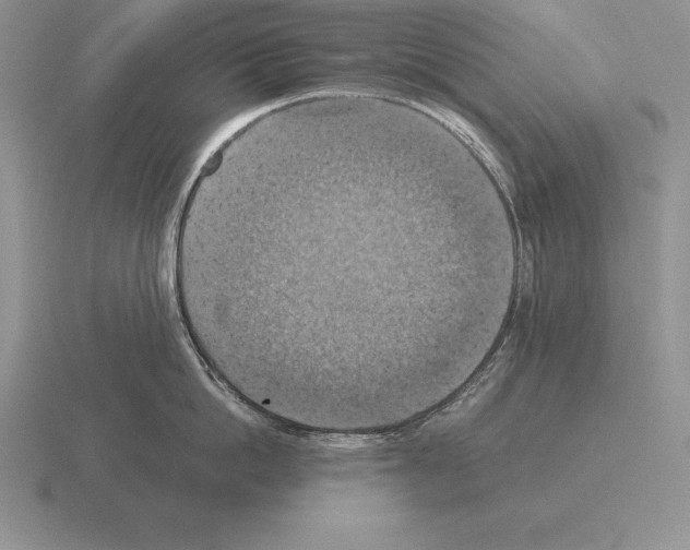 X0000115410862200912151540