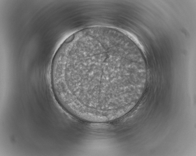 X0000115410863200912151540