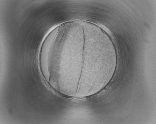 X0000115410864200912151540