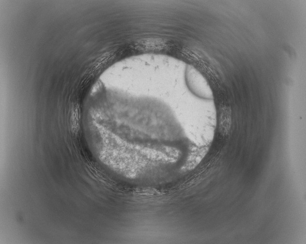 X0000115410866200912151539