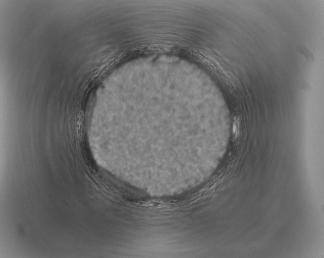 X0000115410867200912151539