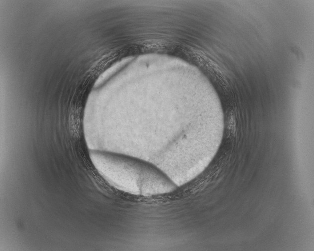 X0000115410868200912151539